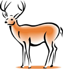 Recent Deer Sightings Article