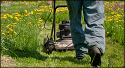 Lawncare